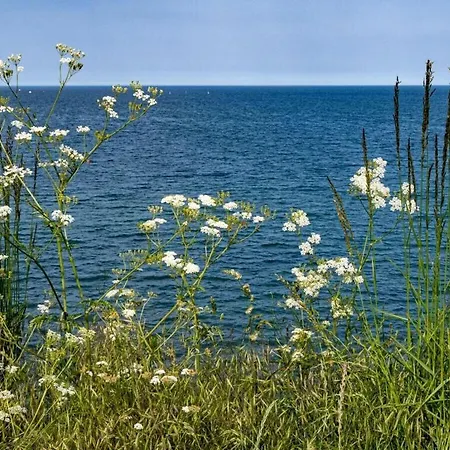 Baltic Sea Happiness Barendorf Vakantiehuis Hof Barendorf
